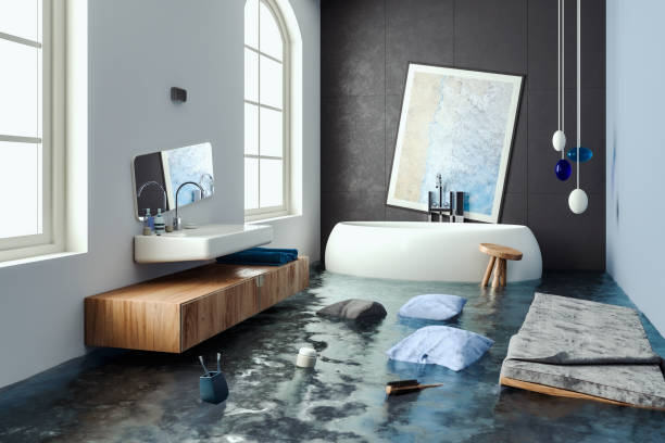 Best Flooded house restoration  in Valencia West, AZ