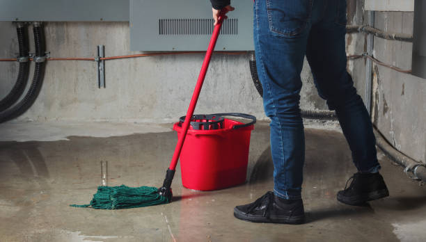 Best Ceiling water damage repair  in Valencia West, AZ