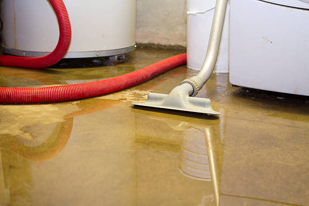 Best Professional water damage repair  in Valencia West, AZ
